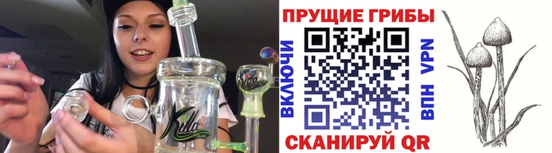 omg рабочий сайт  Ясногорск  Псилоцибиновые грибы прущие грибы 